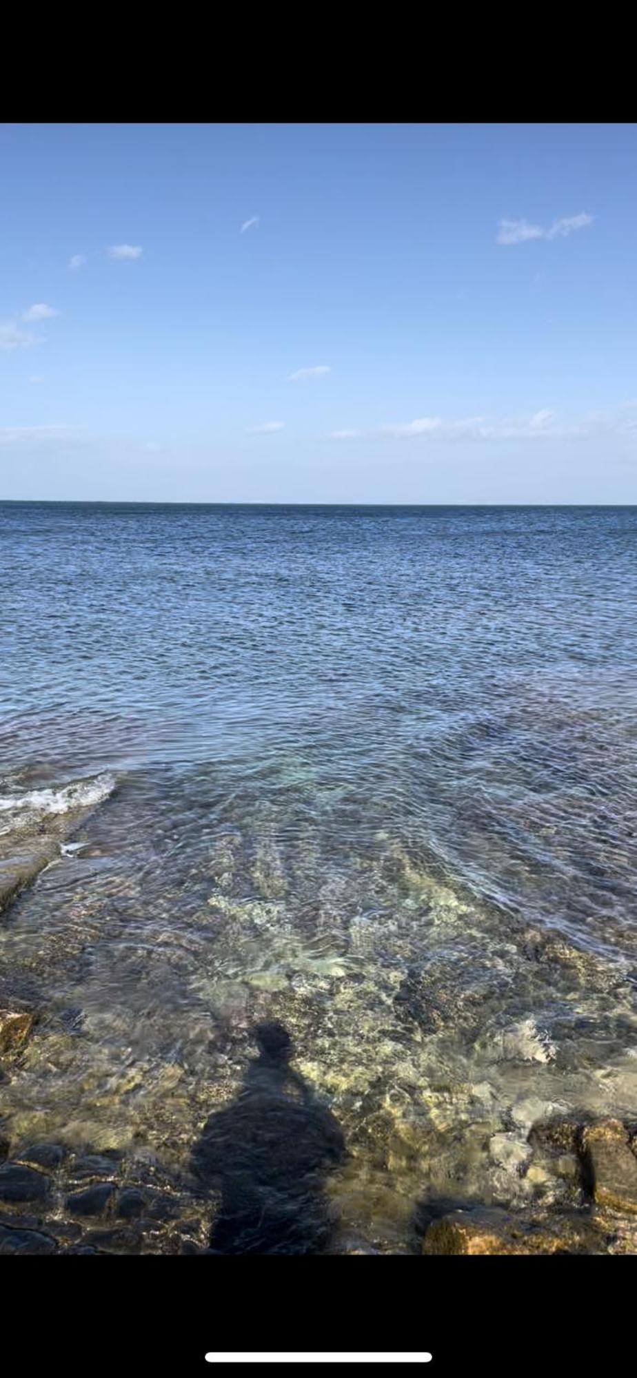 La Villetta Sul Mare Bari Esterno foto