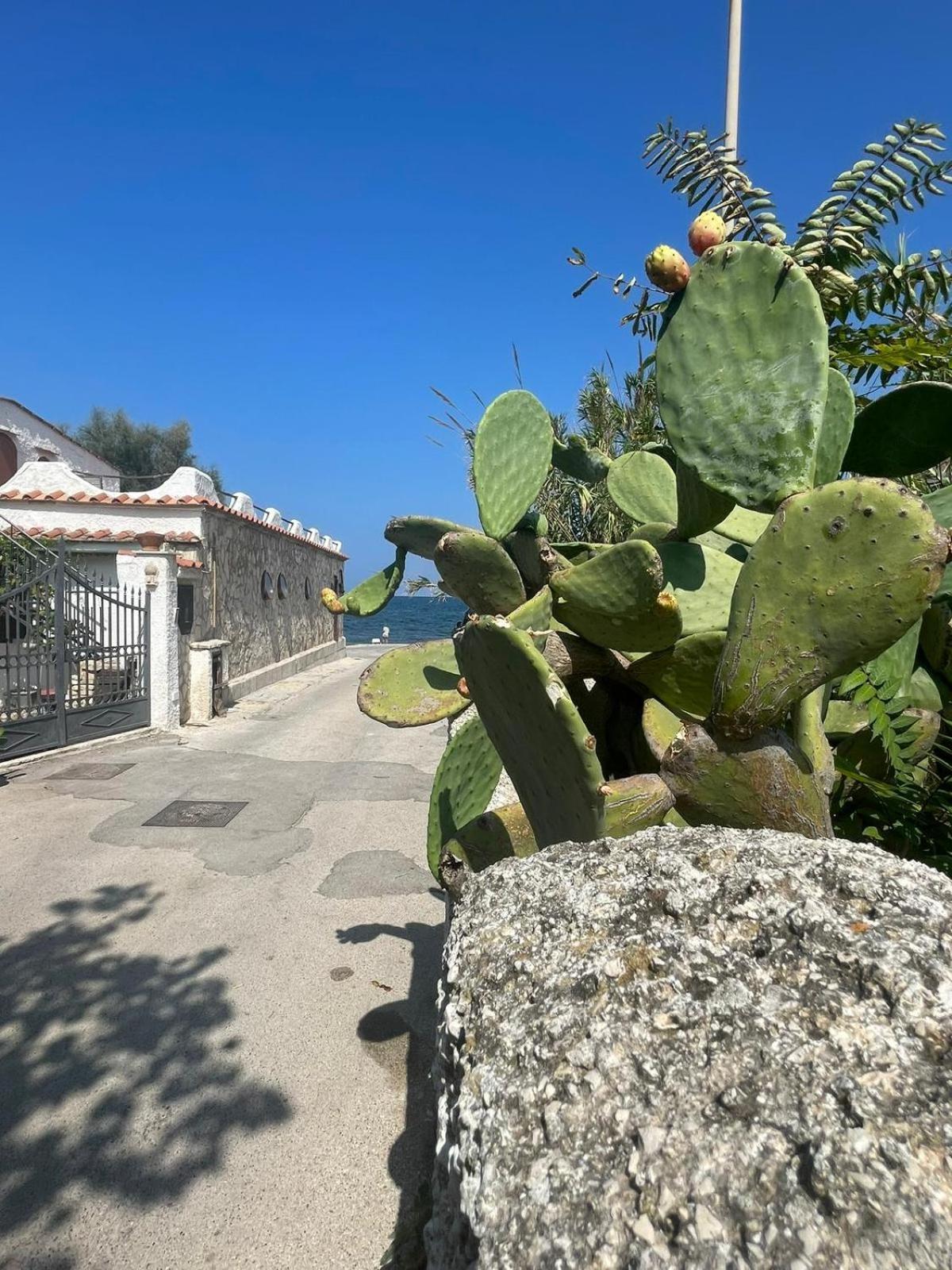 La Villetta Sul Mare Bari Esterno foto